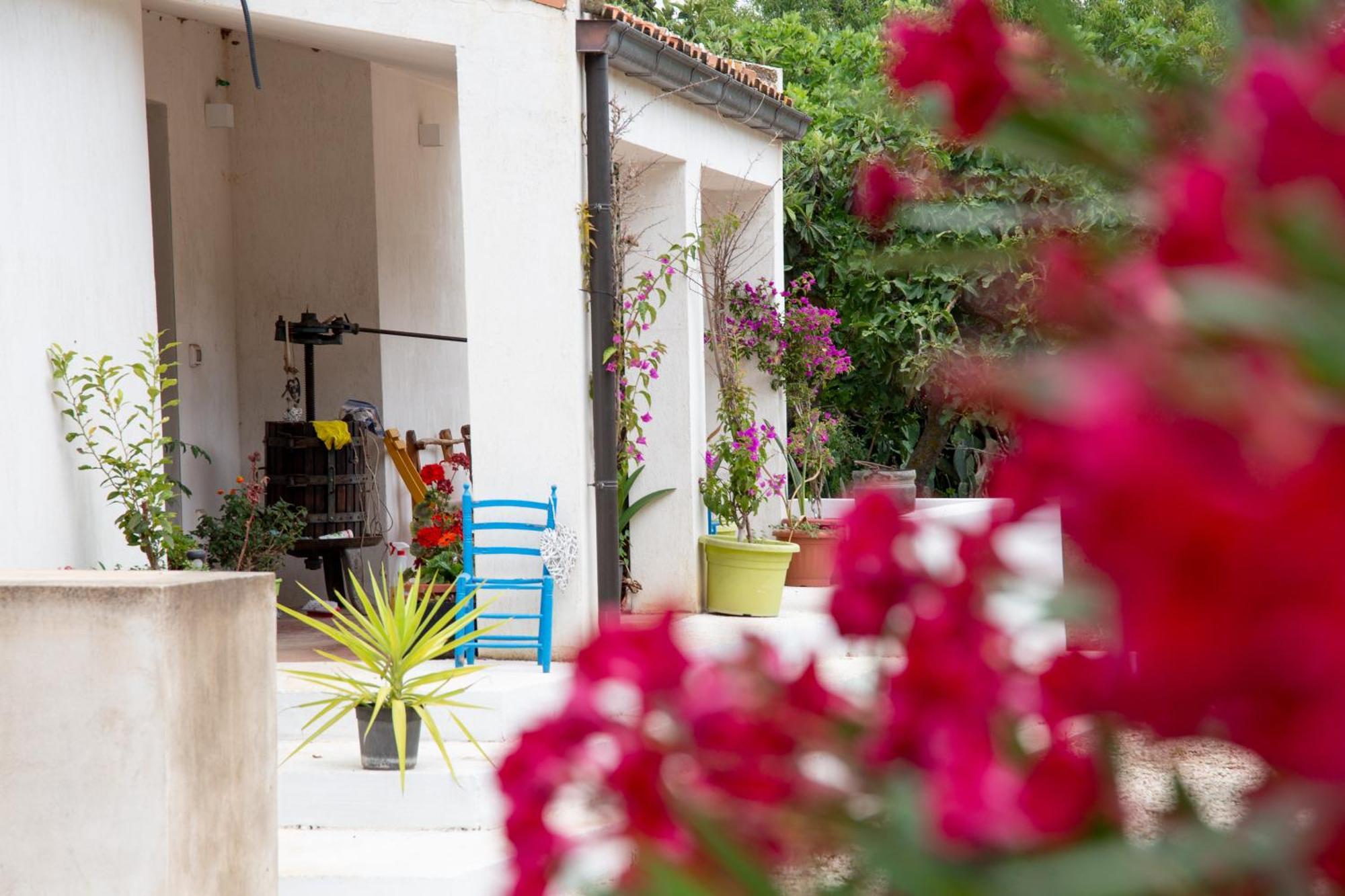 Villa Del Lupo Santa Maria la Palma Exteriör bild