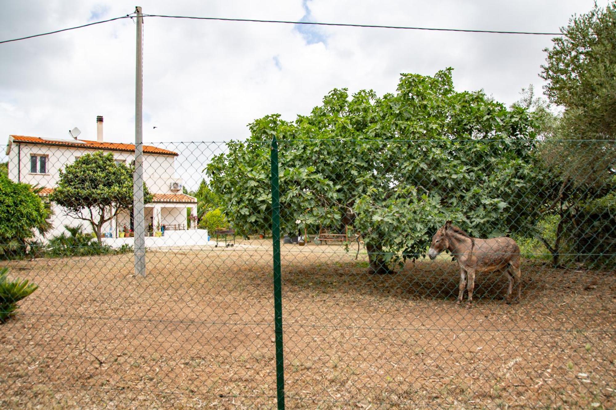 Villa Del Lupo Santa Maria la Palma Exteriör bild